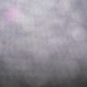 Meet your Posher, Ed